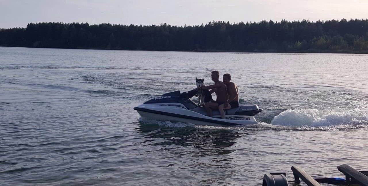 Ремонт гидроцикла Polaris GENESIS FICHT